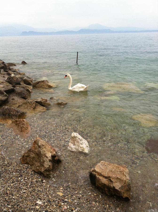 Casa Caterina Lake View Holidays Apartments Peschiera del Garda Exteriör bild